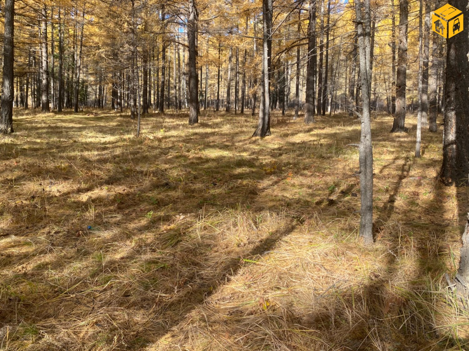 Үл хөдлөх зарна Газар