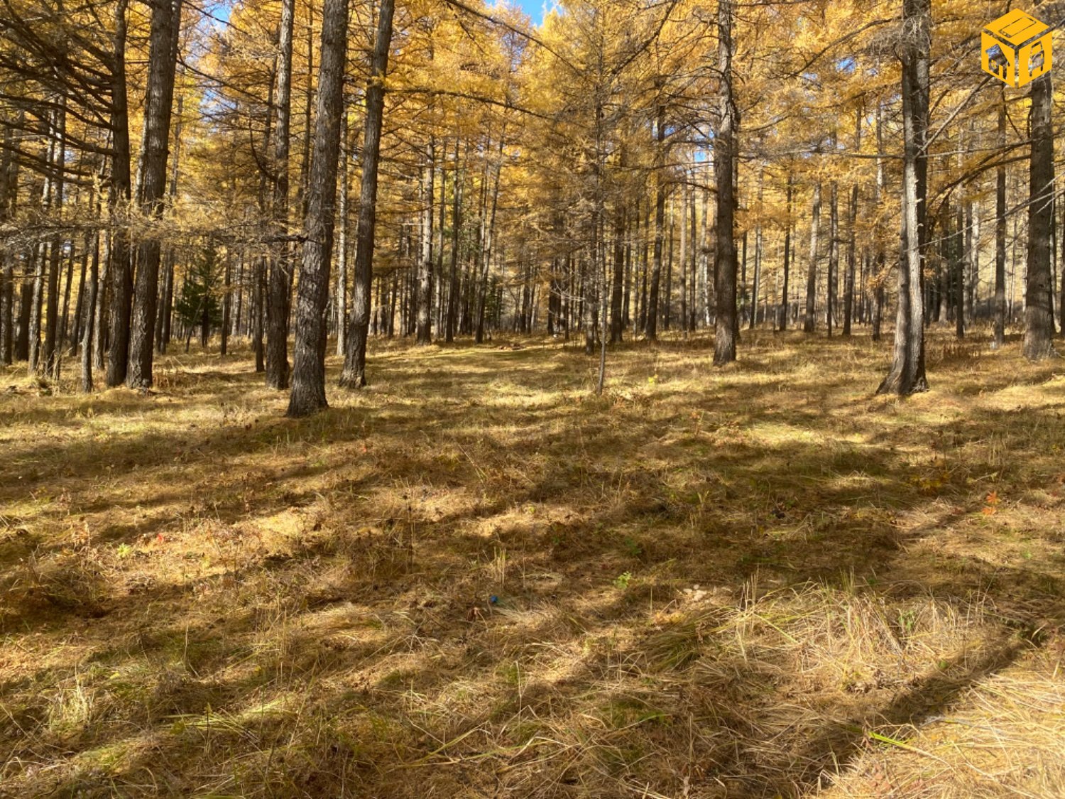 Үл хөдлөх зарна Газар