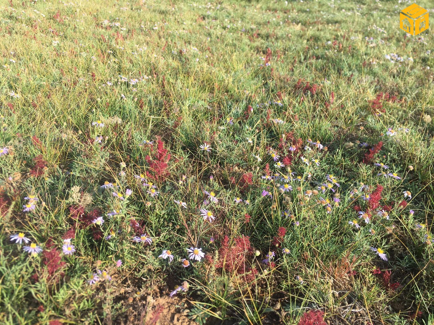 Үл хөдлөх зарна Газар