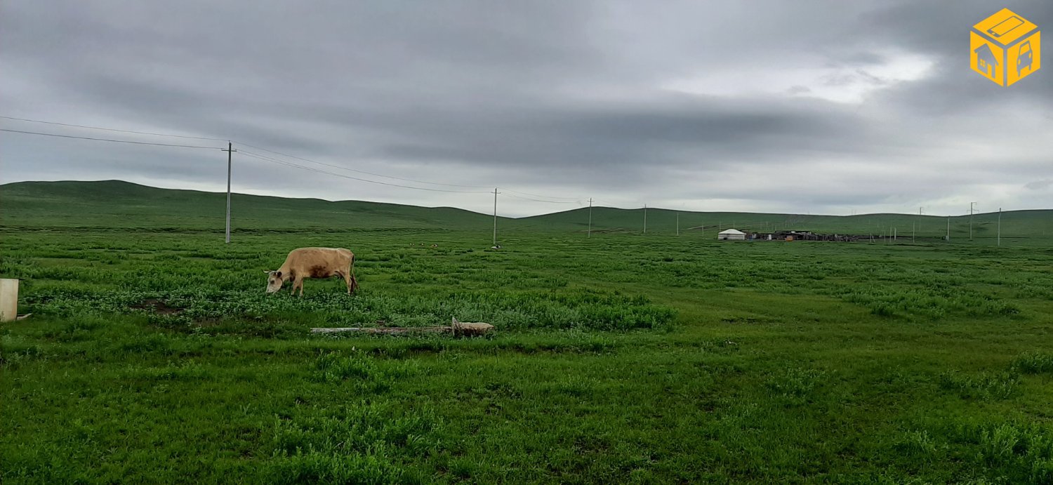 Үл хөдлөх зарна Газар