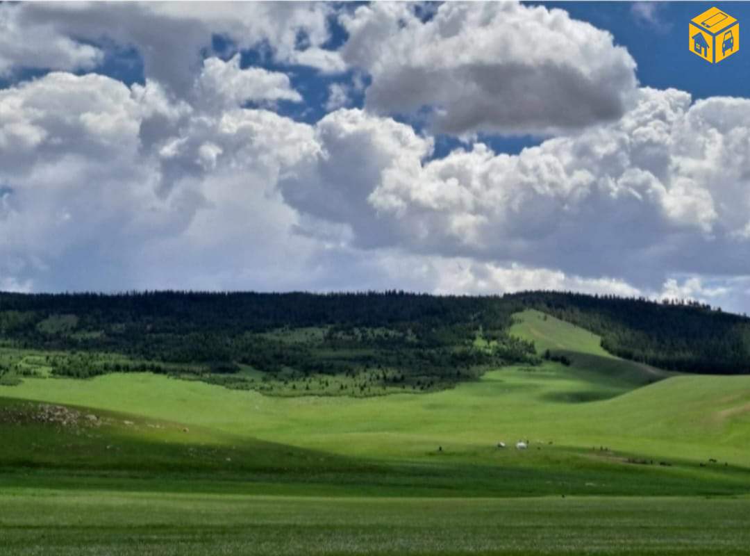 Үл хөдлөх зарна Газар