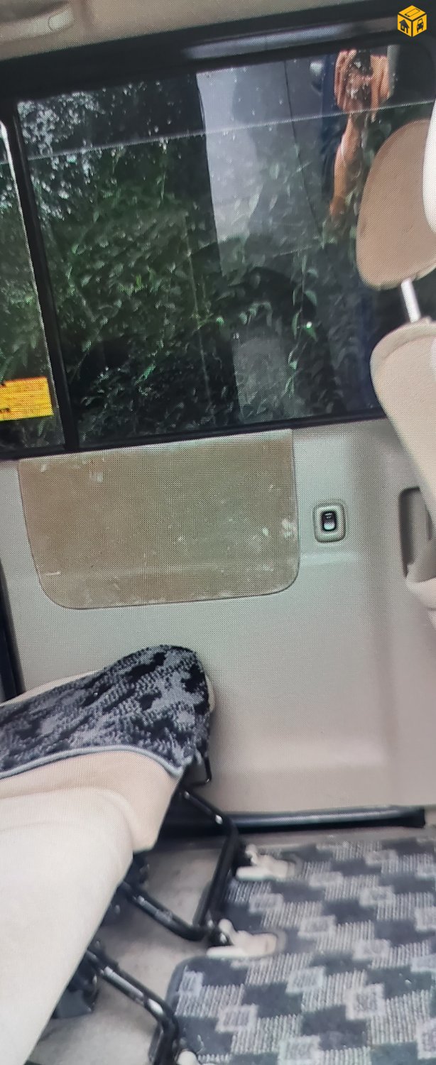 Ачааны машин Daihatsu