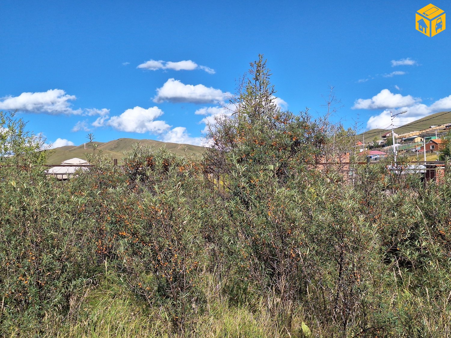 Үл хөдлөх зарна Газар