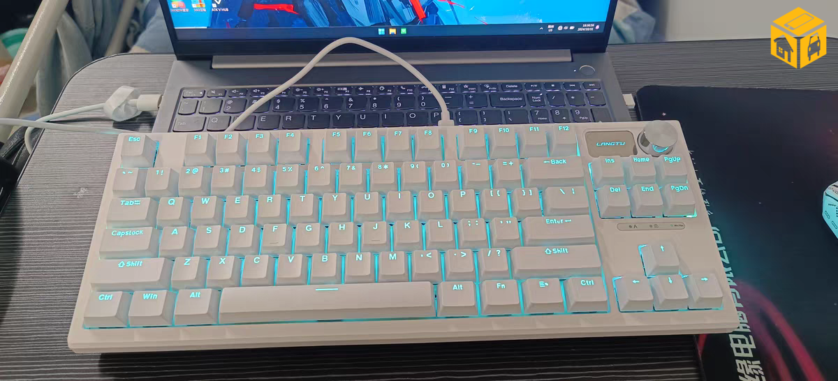 LT84 цагаан гар